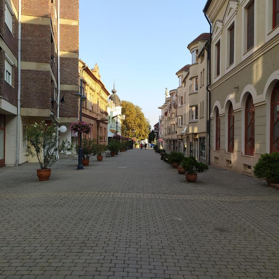 Apartament Krenusz Vendeghaz. Kaposvár Zewnętrze zdjęcie